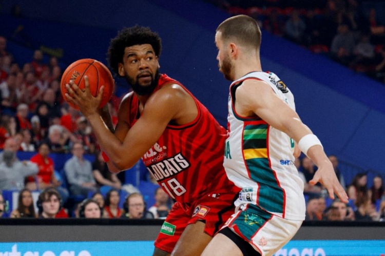 周六竞彩篮球强档:珀斯野猫亟待磨合 新西兰破坏者力争首胜